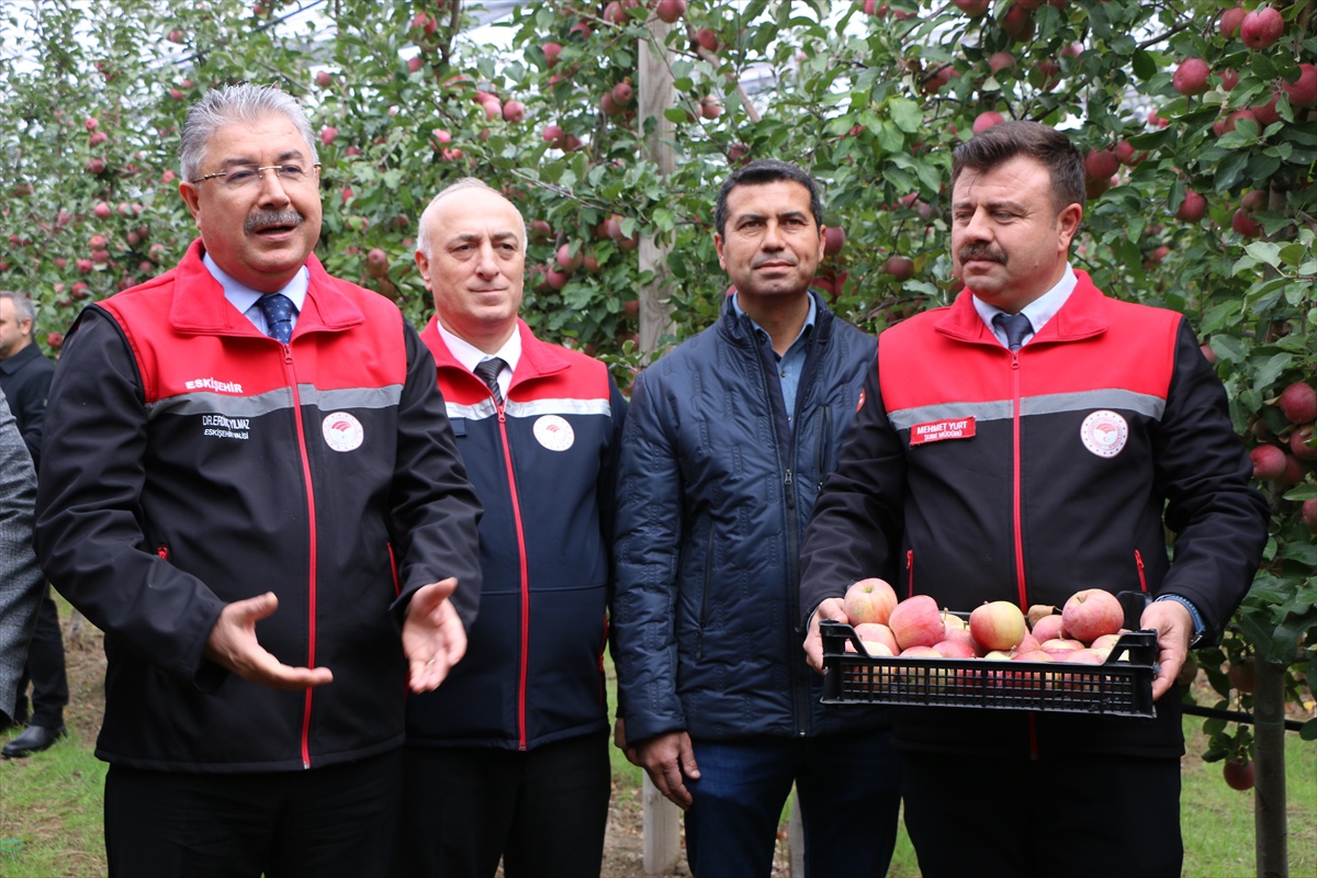 Eskişehir Mahmudiye'de 570 dekarda meyve üreten işletmeyi Vali Yılmaz inceledi
