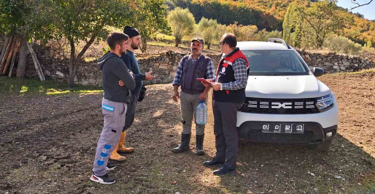 İscehisar'da İlçe Tarım personeli üreticilere teknik destek veriyor