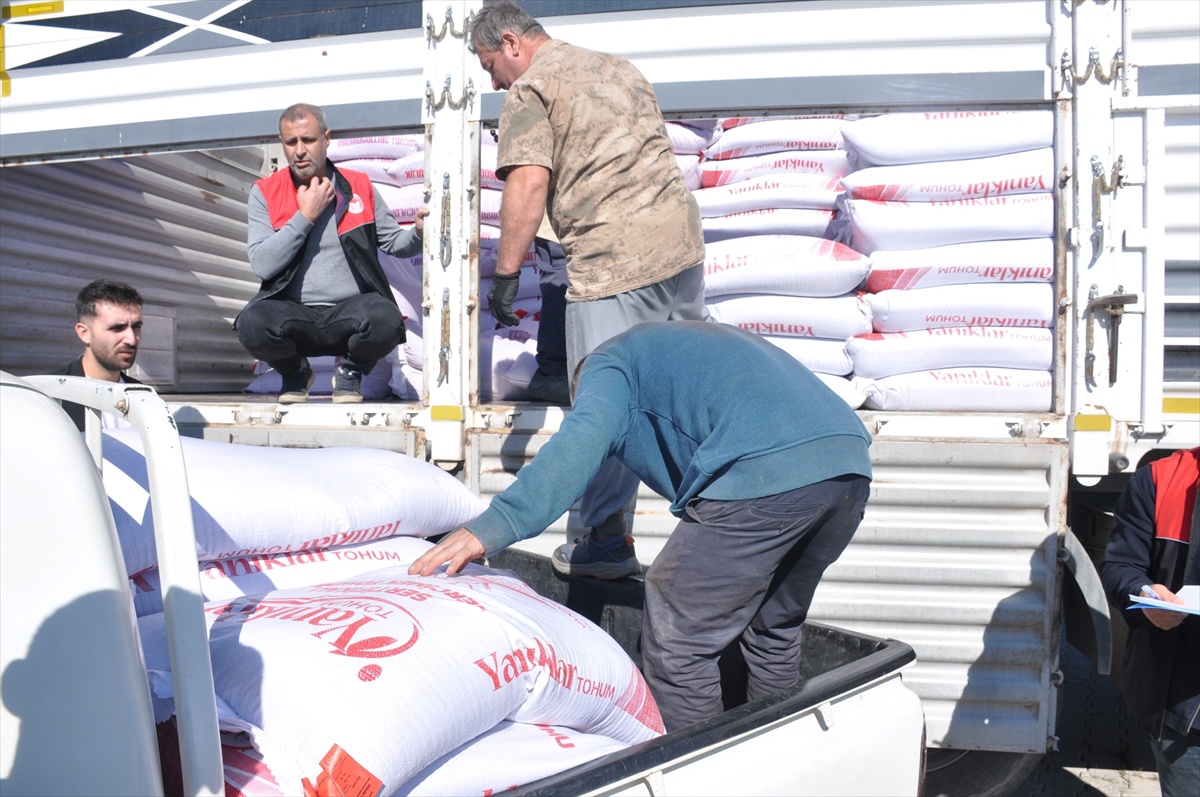 Muş'ta 250 üreticiye yüzde 75 hibeli 150 ton mercimek ve nohut tohumu dağıtıldı