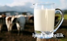 Derya Baykal’ın ayıbı