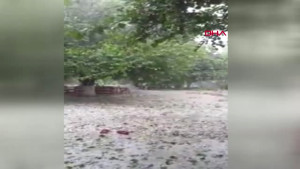 Şiddetli Dolu Yağışı, Çifçiyi Vurdu