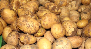 Bakan Fakıbaba’dan Patates Çıkışı: 50 Kuruşluk Ürünü 6 TL’ye Yedirenden Hesap Soracağız