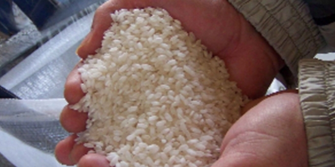 Sınır getirilmezse, 1 kg pirinci 15-20 TL’ye yiyebiliriz