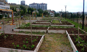Kent Tarım Hobi Evinde Yeni Eğitimler Şubat ta Başlıyor