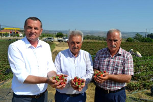 Köprübaşı Çileğine Çifte Patent