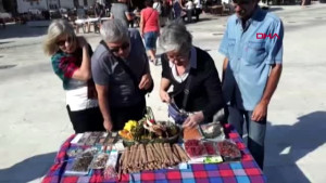 Muğla Datça da Yerel Tohum Şenliği Başladı
