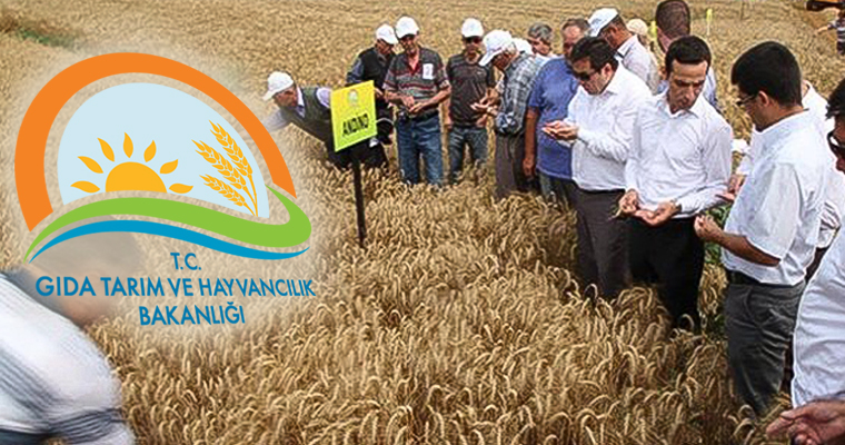 1677 sözleşmeli personel alımı yapılacak