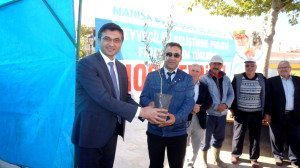 Sarıgöl’de Çiftçilere Zeytin Desteği