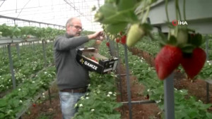 Serasından Toprağı Çıkardı, Gelirini 5’e Katladı