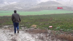 Yozgat ta 800 Ton Şeker Pancarı Tarlada Kaldı