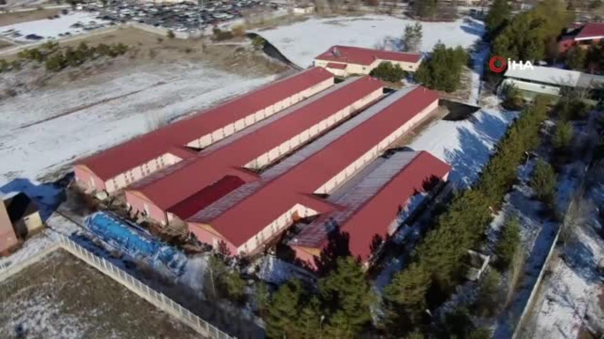 Atık çamur solucanlar tarafından sindirilerek organik gübreye dönüşüyor