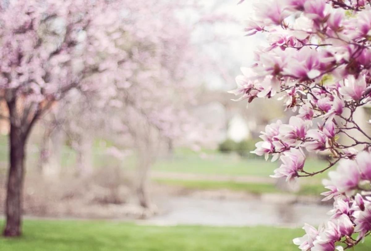 Cemre ne zaman düşer? İlk cemre ne zaman düşer? İşte cemre düşmesi hikayesi…