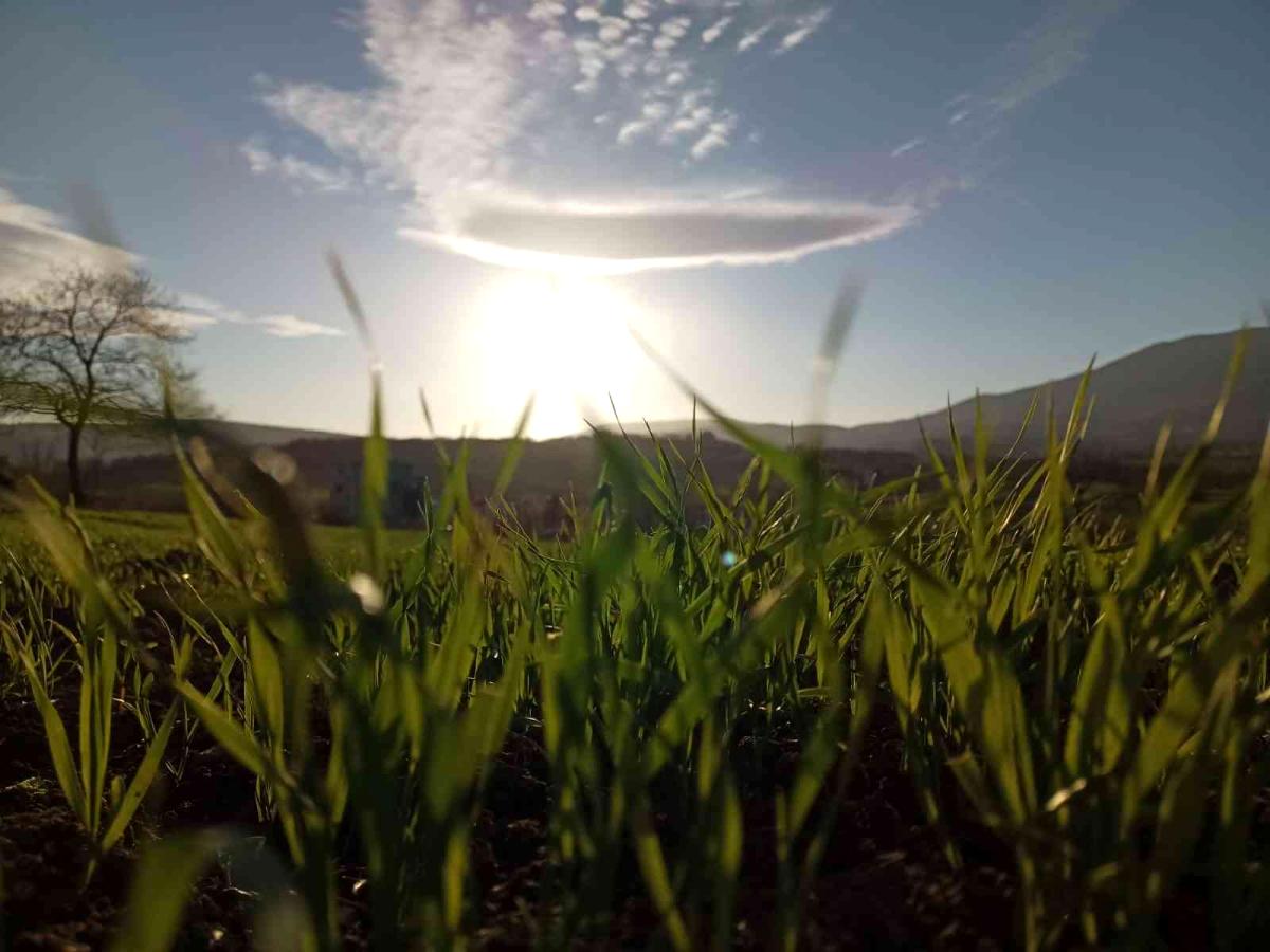 Sağlam: “Tarımsal sanayimizi katma değeri yüksek üretim yapan içeriğe kavuşturmalıyız”