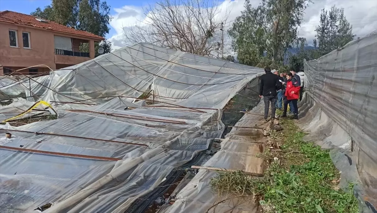 Fethiye'de rüzgardan zarar gören alanlarda hasar tespit çalışması başlatıldı