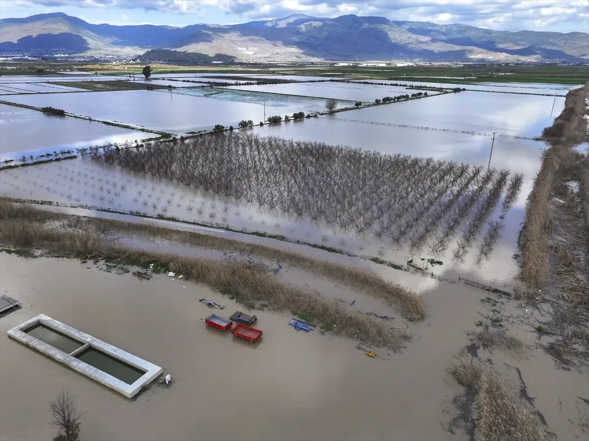 Gediz Nehri'nin taşması sonucu İzmir'de tarım arazileri sular altında kaldı