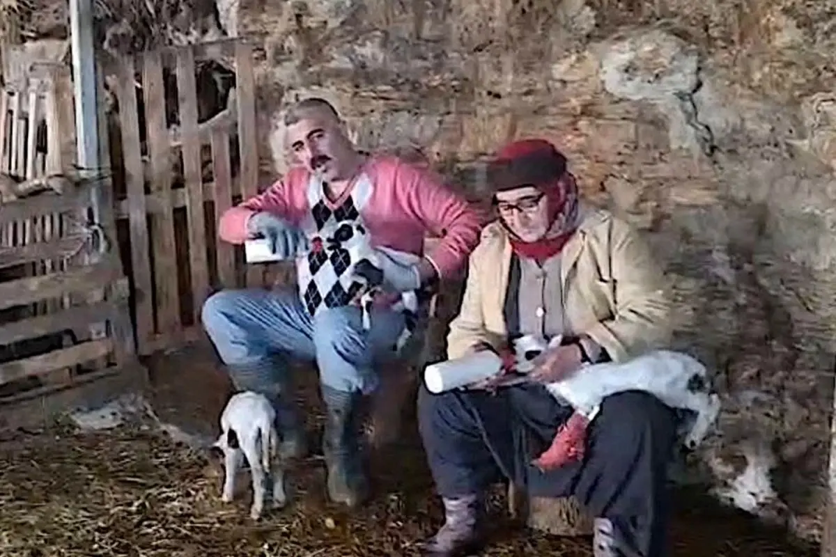 Hobi olarak başladılar, 4 koyup 600 aldılar