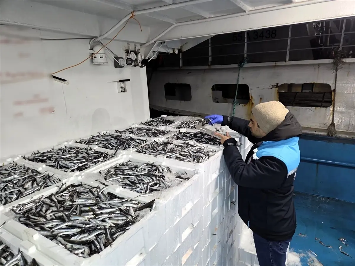 Kırklareli'nde su ürünleri denetimi gerçekleştirildi