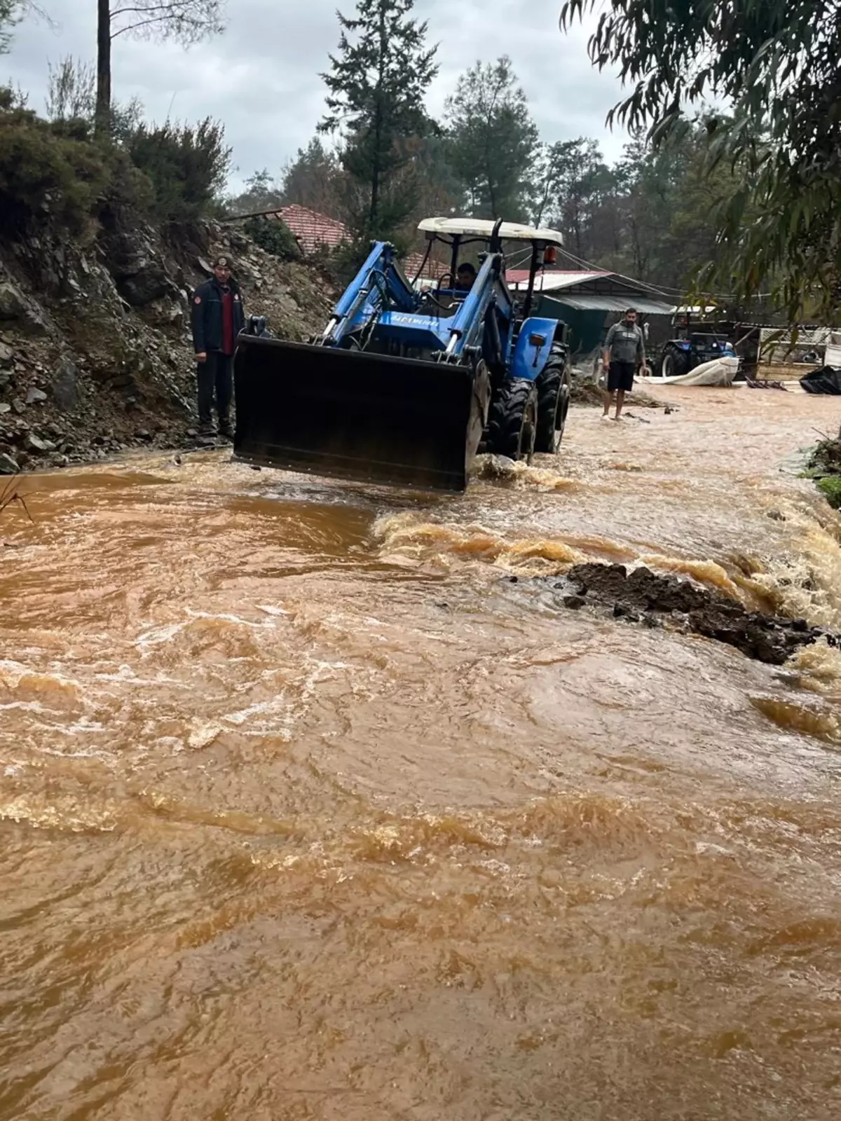Muğla'da Sağanak Yağış Sonucu Dereler Taştı