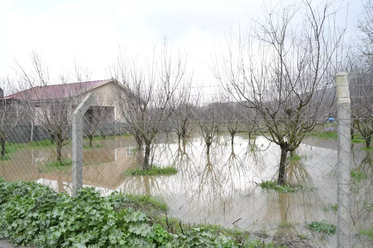Kuşadası'nda sağanak etkili oldu; evlerin bahçeleri ve tarım arazileri su altında kaldı