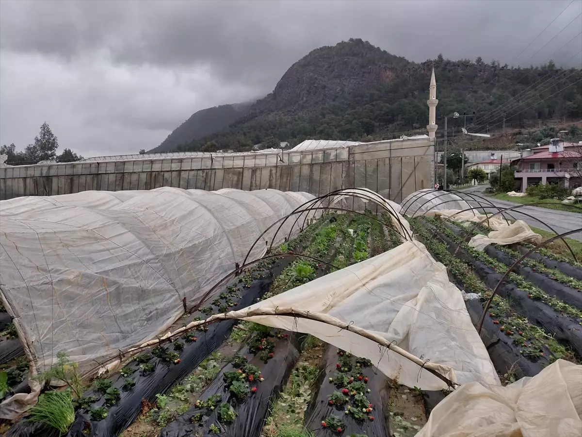 Mersin'de sağanak ve şiddetli rüzgar etkili oldu
