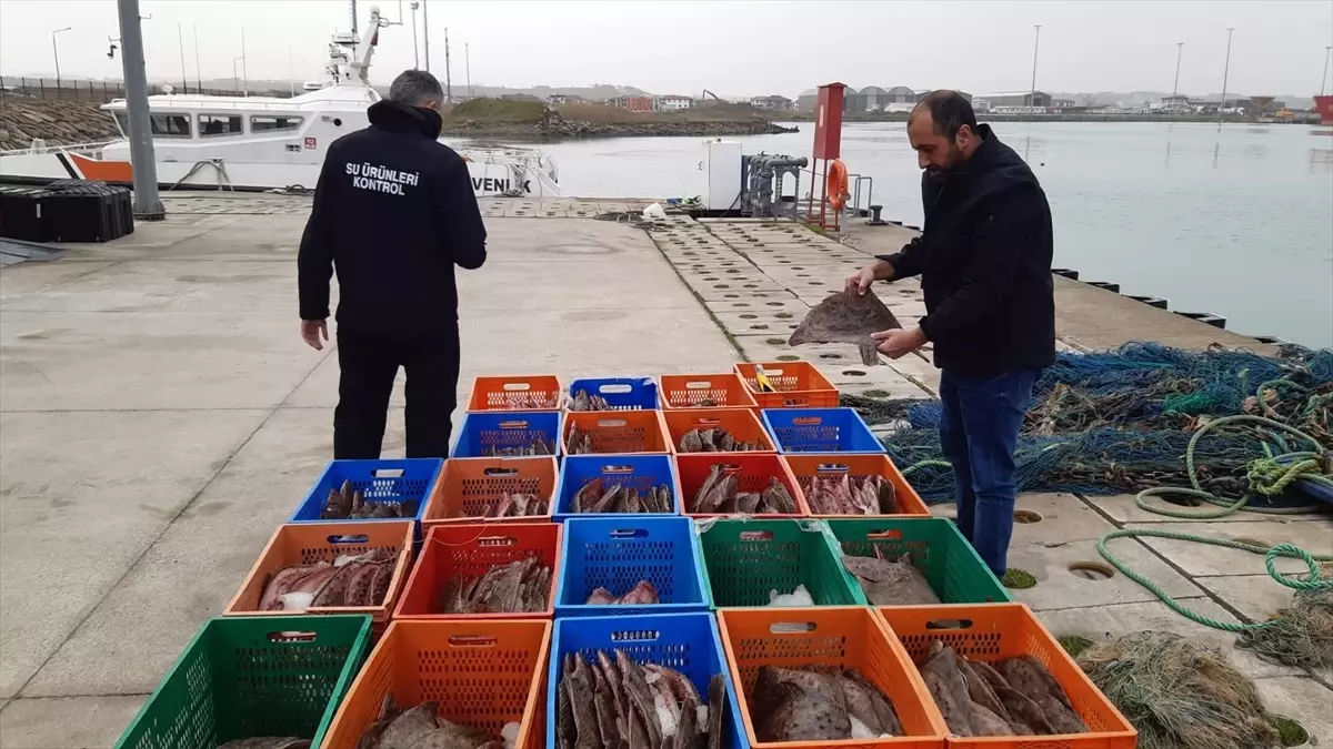 Sakarya'da kaçak avlanan 850 kilogram kalkan balığına el konuldu