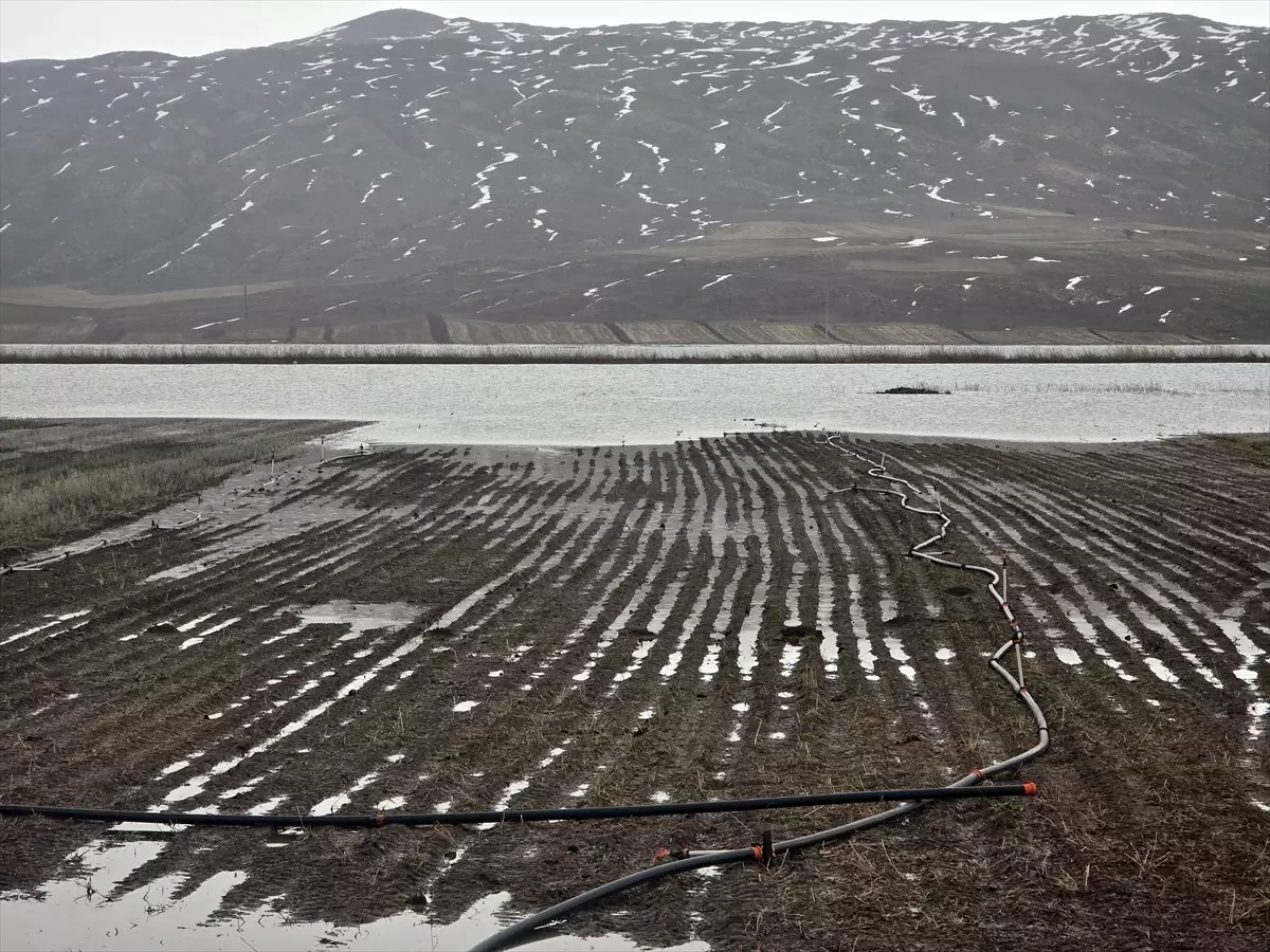 Sivas'ta yüzlerce dönüm tarım arazisi su altında kaldı