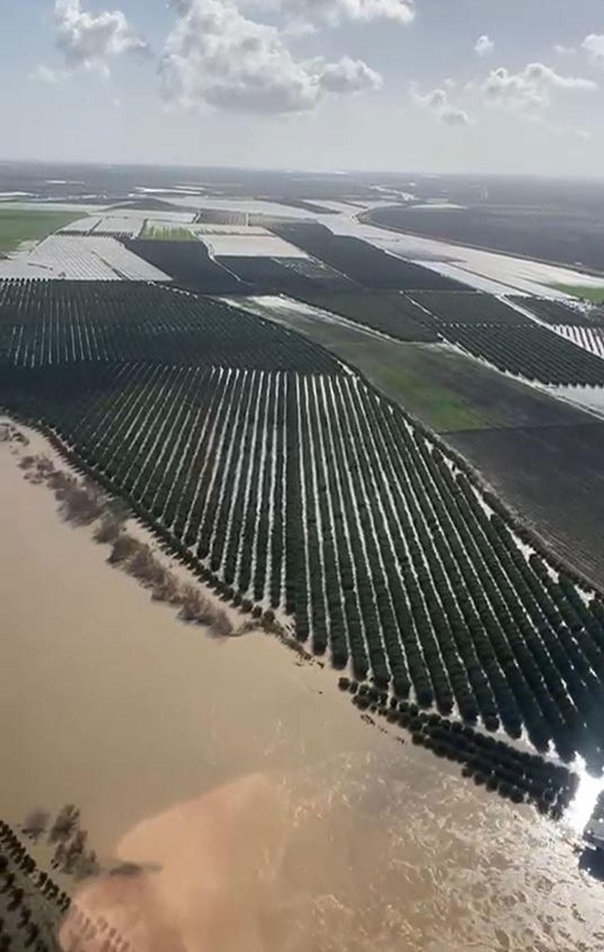 Adana'da tarım arazileri su altında kaldı; 'Üreticiler ekim yapacak'