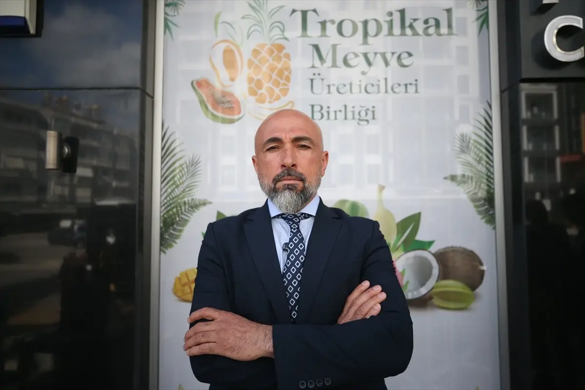 Alanya'da tropikal meyve üreticilerine iyi tarım uygulamasına yönelik eğitim verilecek