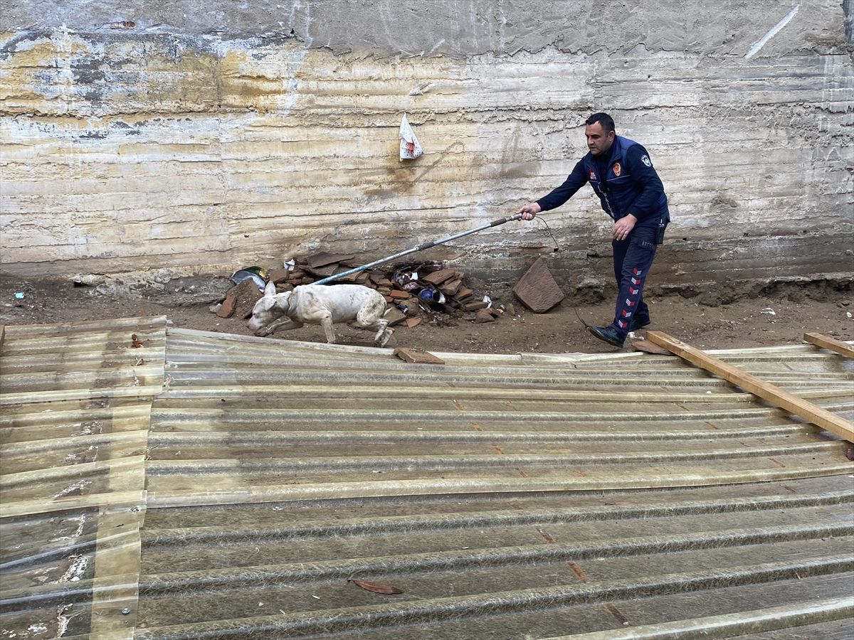 Alaşehir'de çukura düşen köpeği itfaiye kurtardı