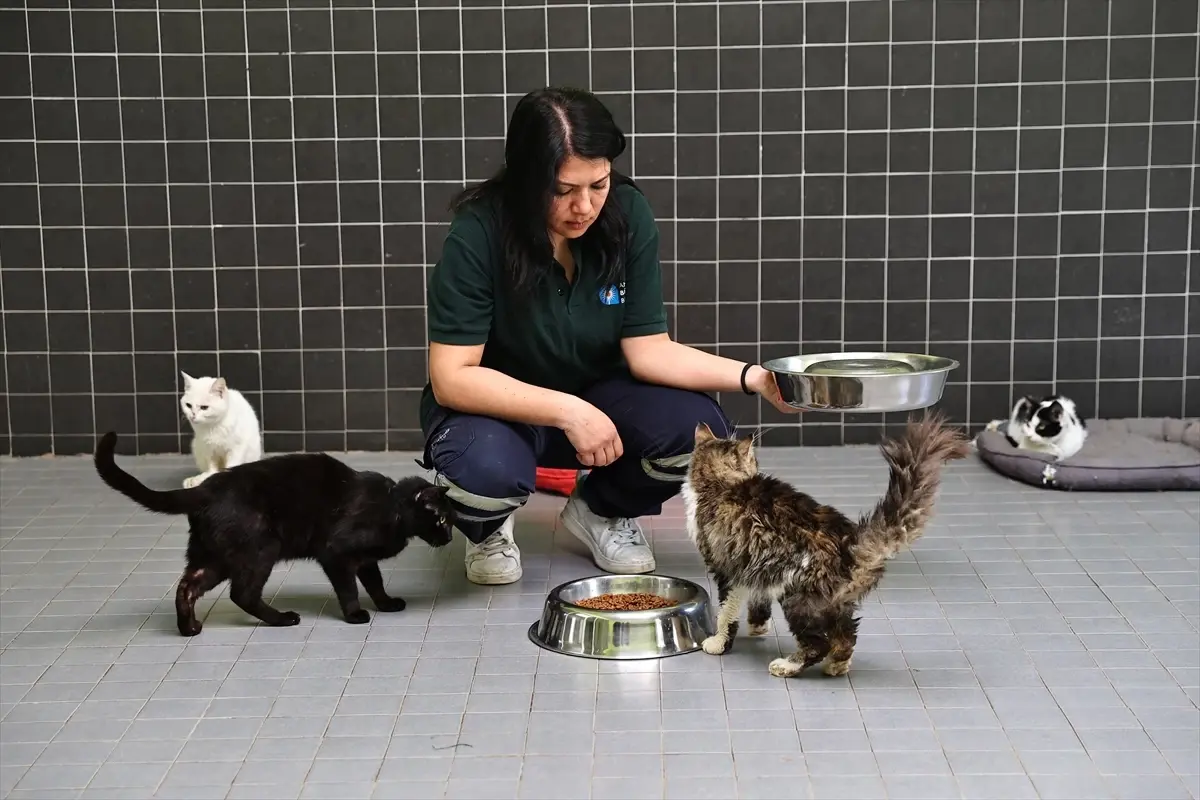 Antalya Büyükşehir Belediyesi 3 bin 324 kadın çalışanıyla kente değer katıyor