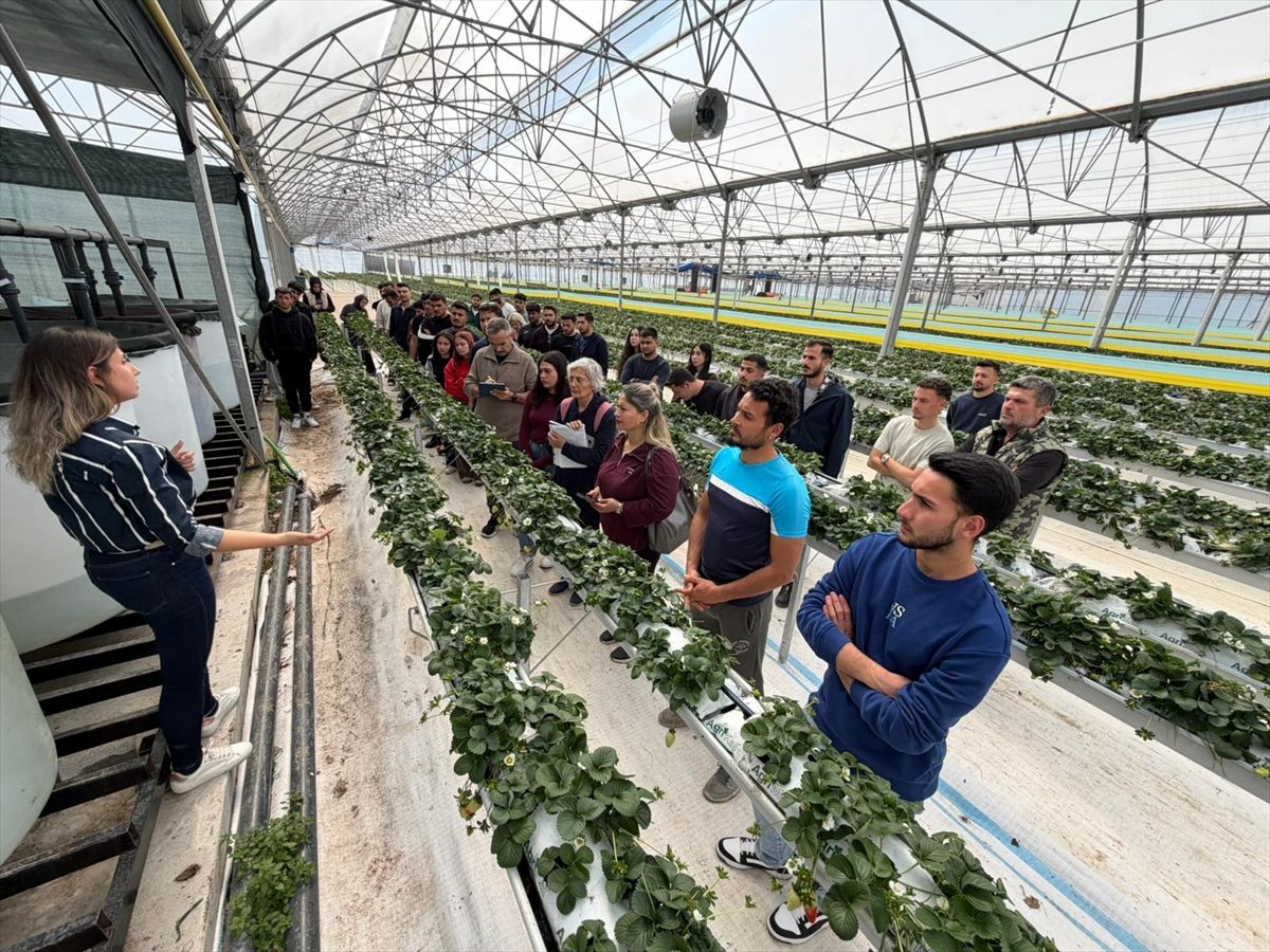 Antalya'da üniversite öğrencileri çilek üretim tesisinde "topraksız tarım"la tanıştı
