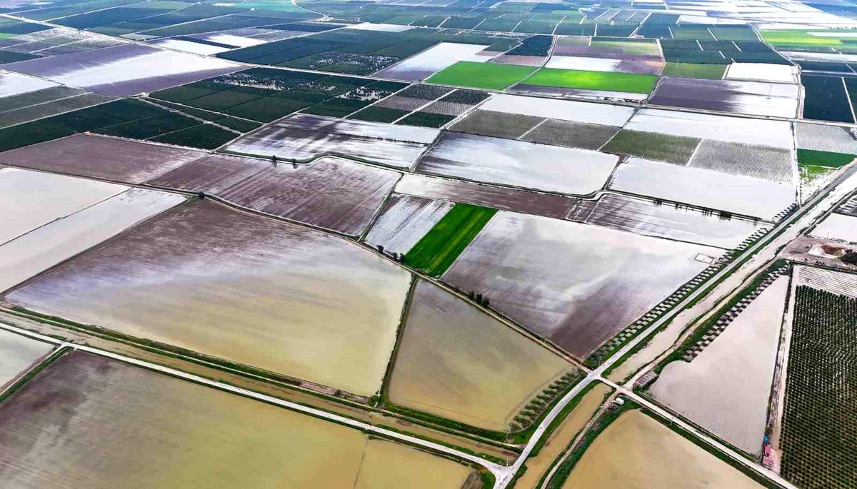 Çukurova'yı yağmur vurdu: Tarım arazileri sular altında