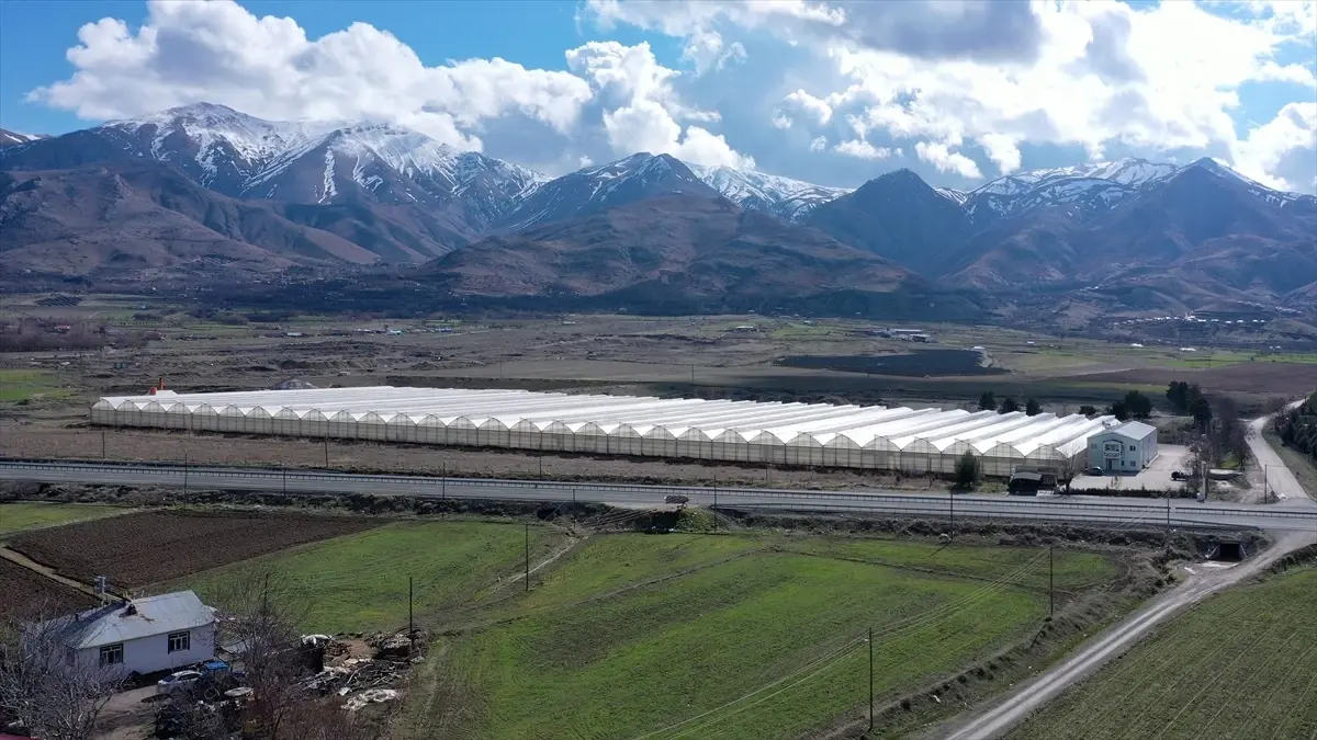 Elazığ'da güneş enerjisi santraliyle desteklenen serada üretimin artırılması hedefleniyor