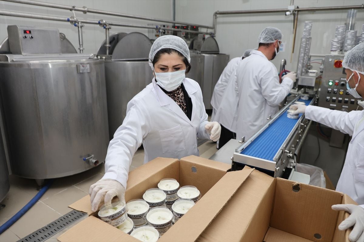 Kadın girişimci devlet desteğiyle dondurmada kendi markasını oluşturdu