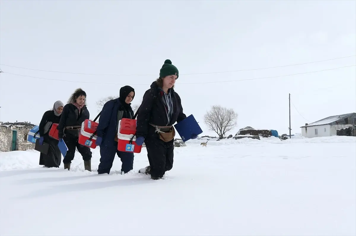 Kars'ta Kadın Veterinerlerin Fedakarlığı