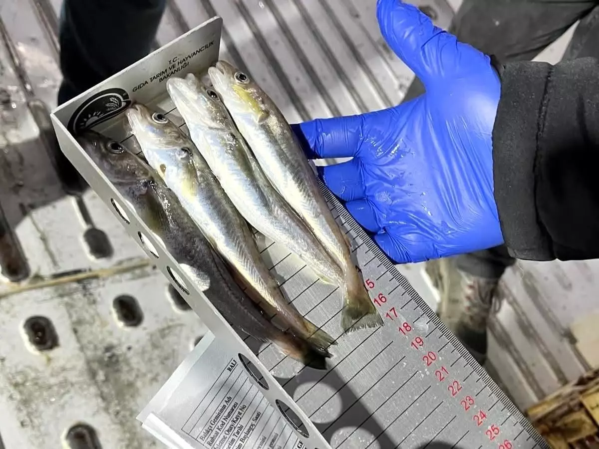 Kırklareli'nde su ürünleri nakil araçlarına sıkı denetim