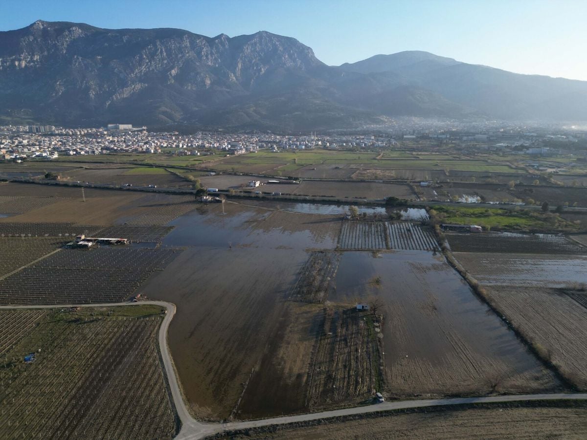 Manisa'da taşkın sonrası su içinde kalan Gediz Ovası normale döndü