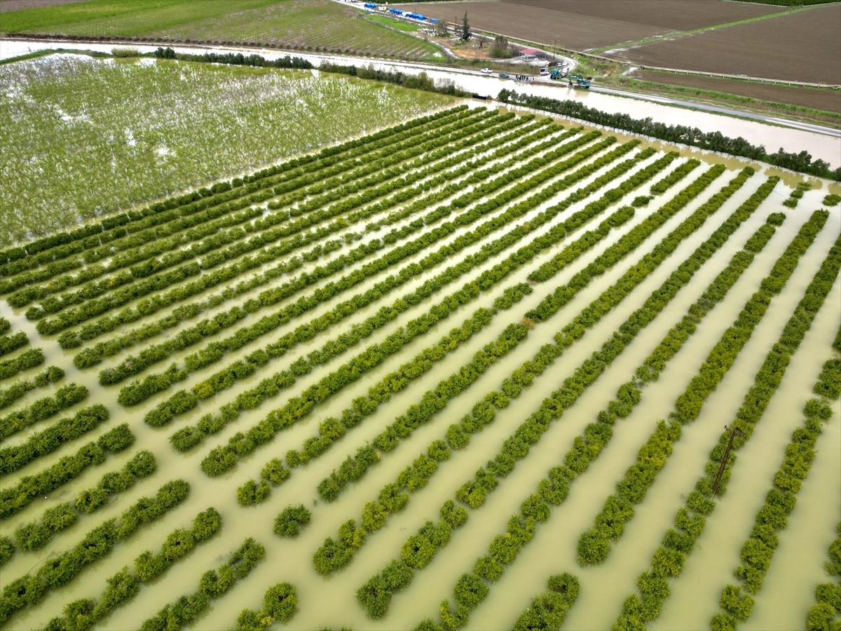 Mersin'de sağanak nedeniyle tarım arazileri su altında kaldı