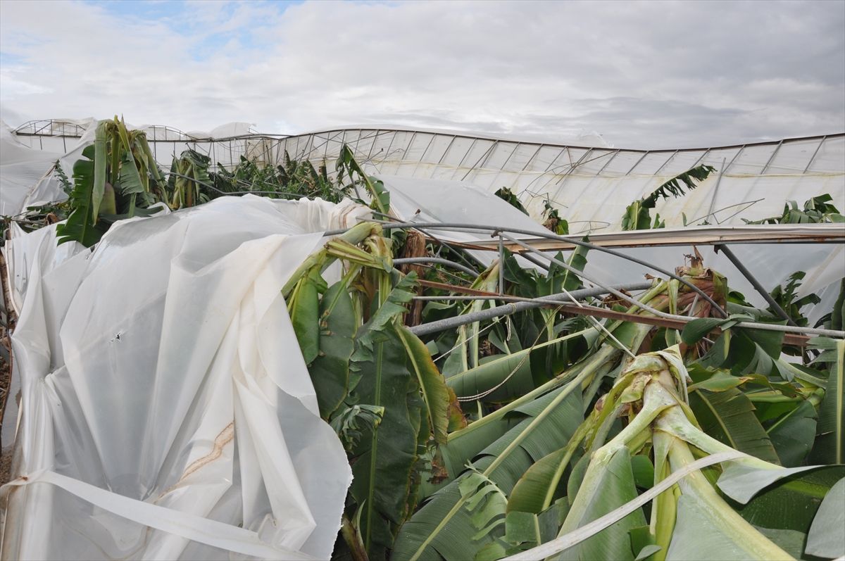 Mersin'de şiddetli rüzgar ve dolu nedeniyle 150 dönüm sera zarar gördü