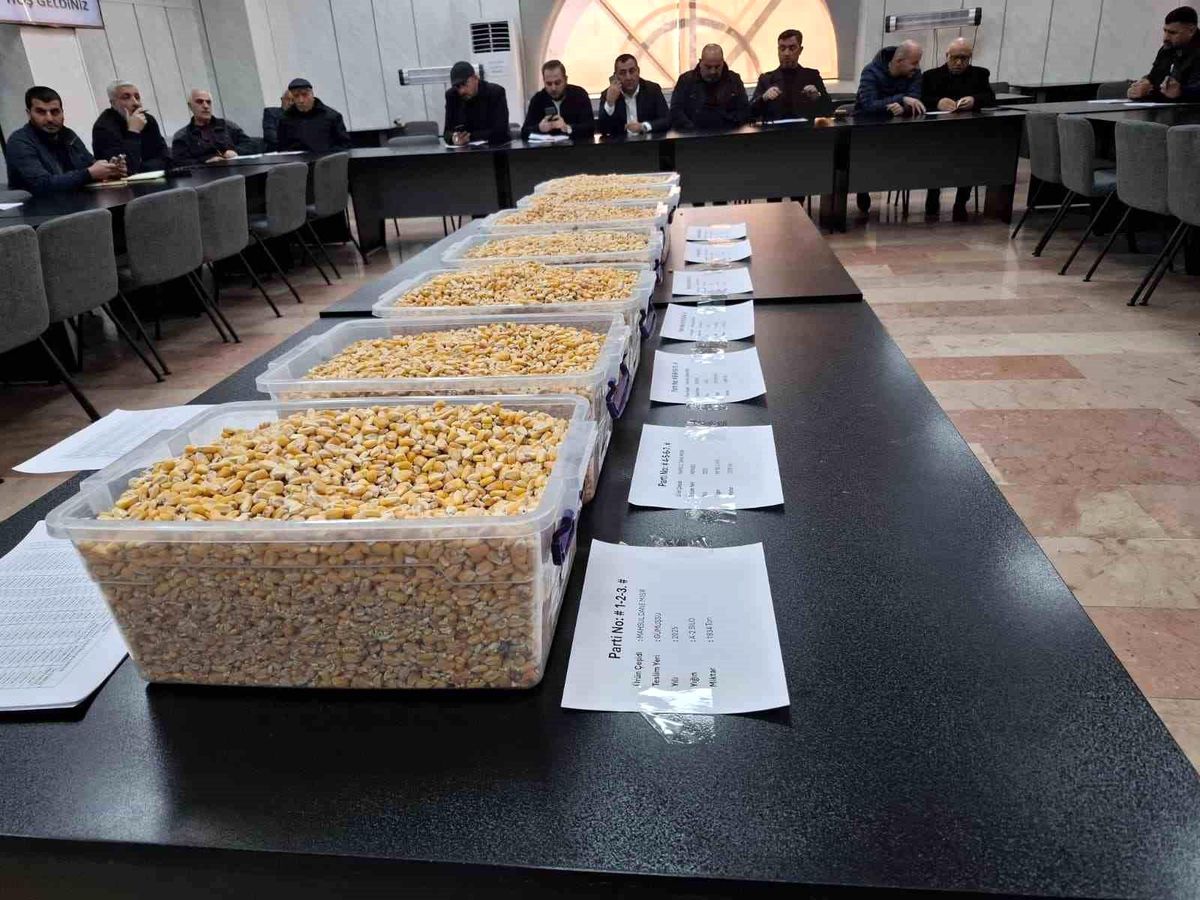 TİGEM'in 13,5 bin tonluk mısır satışı GTB'de gerçekleşti