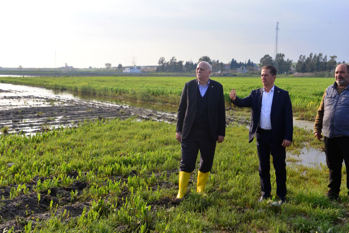 TZOB Genel Başkanı Bayraktar: Adana'da 36 bin 566 dönüm tarım alanı su altında kaldı