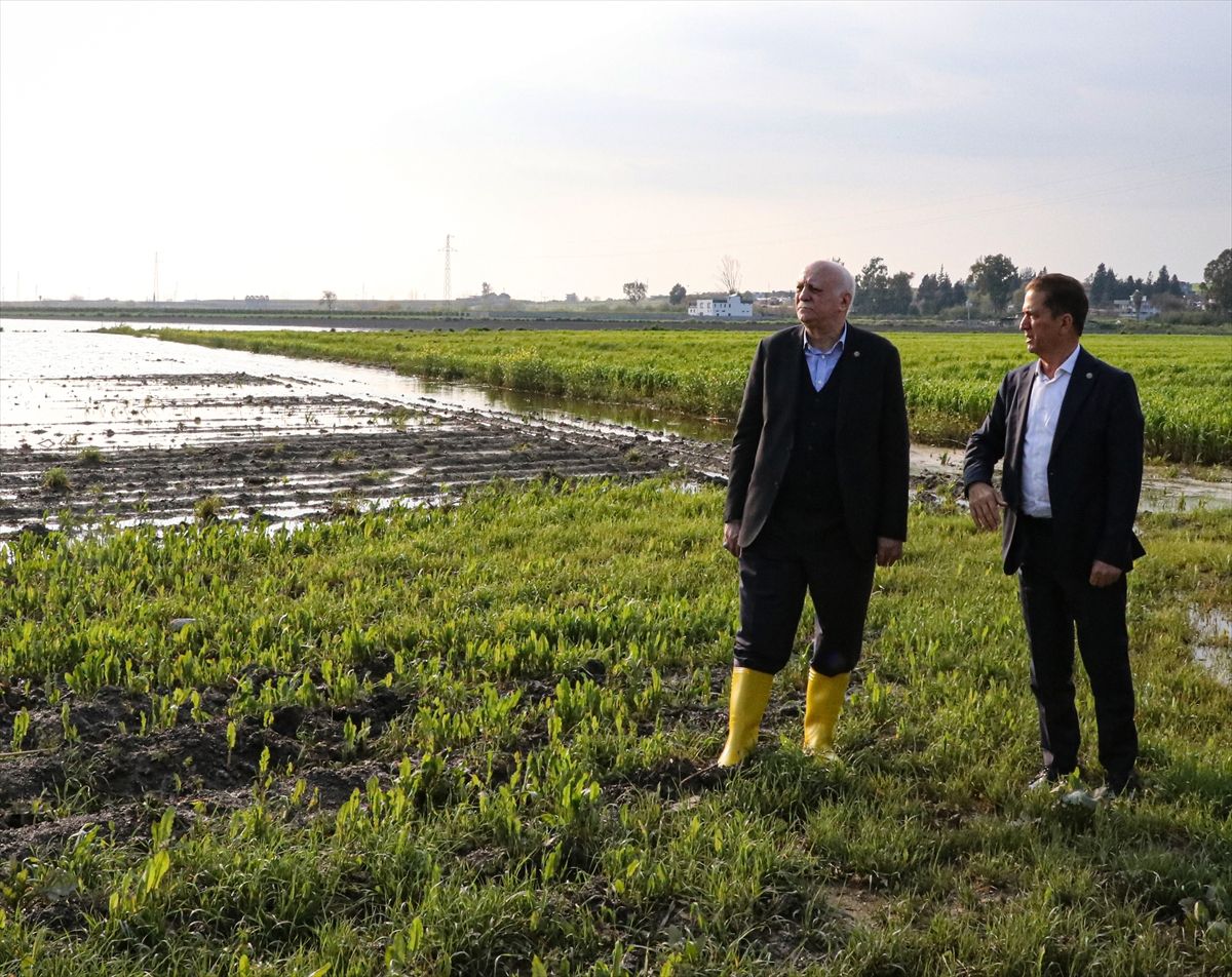 TZOB Genel Başkanı Bayraktar, Adana'da sağanaktan etkilenen bölgelerde incelemelerde bulundu