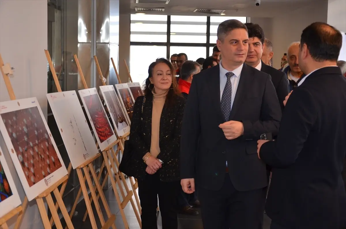 Uluslararası Tarım, Orman ve İnsan Fotoğraf Yarışması'nda ödül alan fotoğraflar Sinop'ta sergilendi