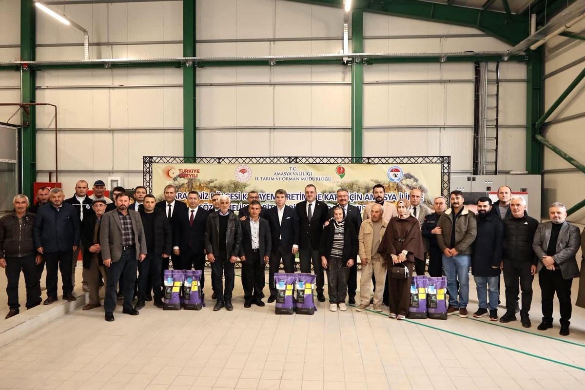 Amasya'da çiftçilere 16 bin kilo yonca tohumu desteği