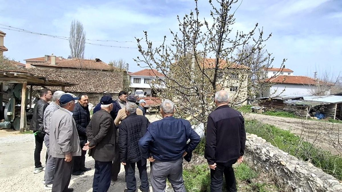 Bilecik'te gübreleme ve budama eğitimi gerçekleştirildi