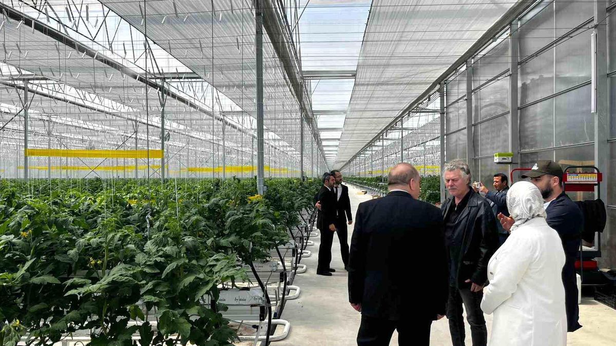 Düzce'den Seracılık İhtisas Organize Tarım Bölgesi'nde inceleme
