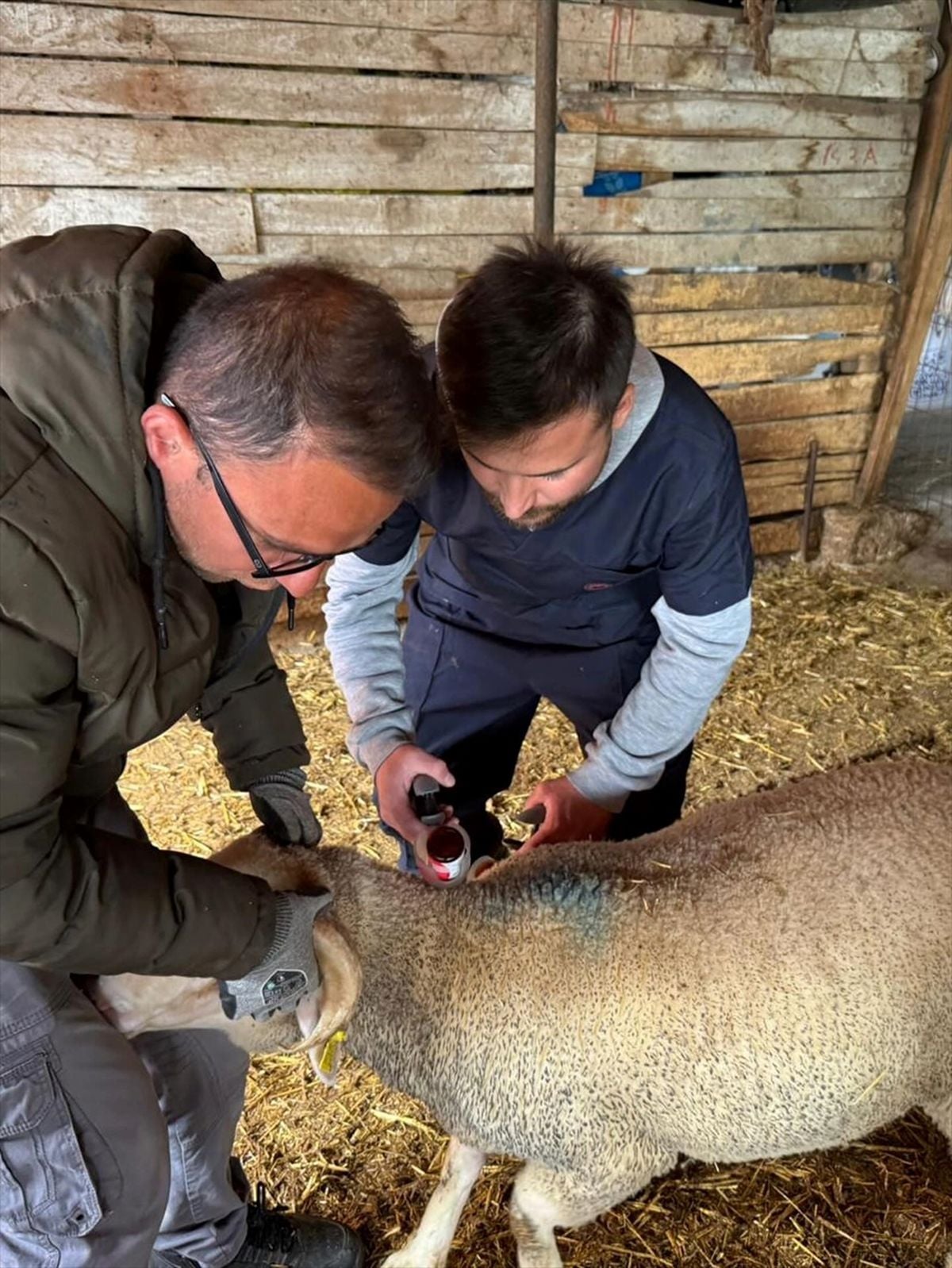 Edirne'den kısa kısa