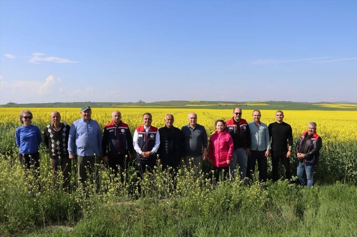 Edirne Tarım ve Orman Müdürü Köse'den saha incelemesi
