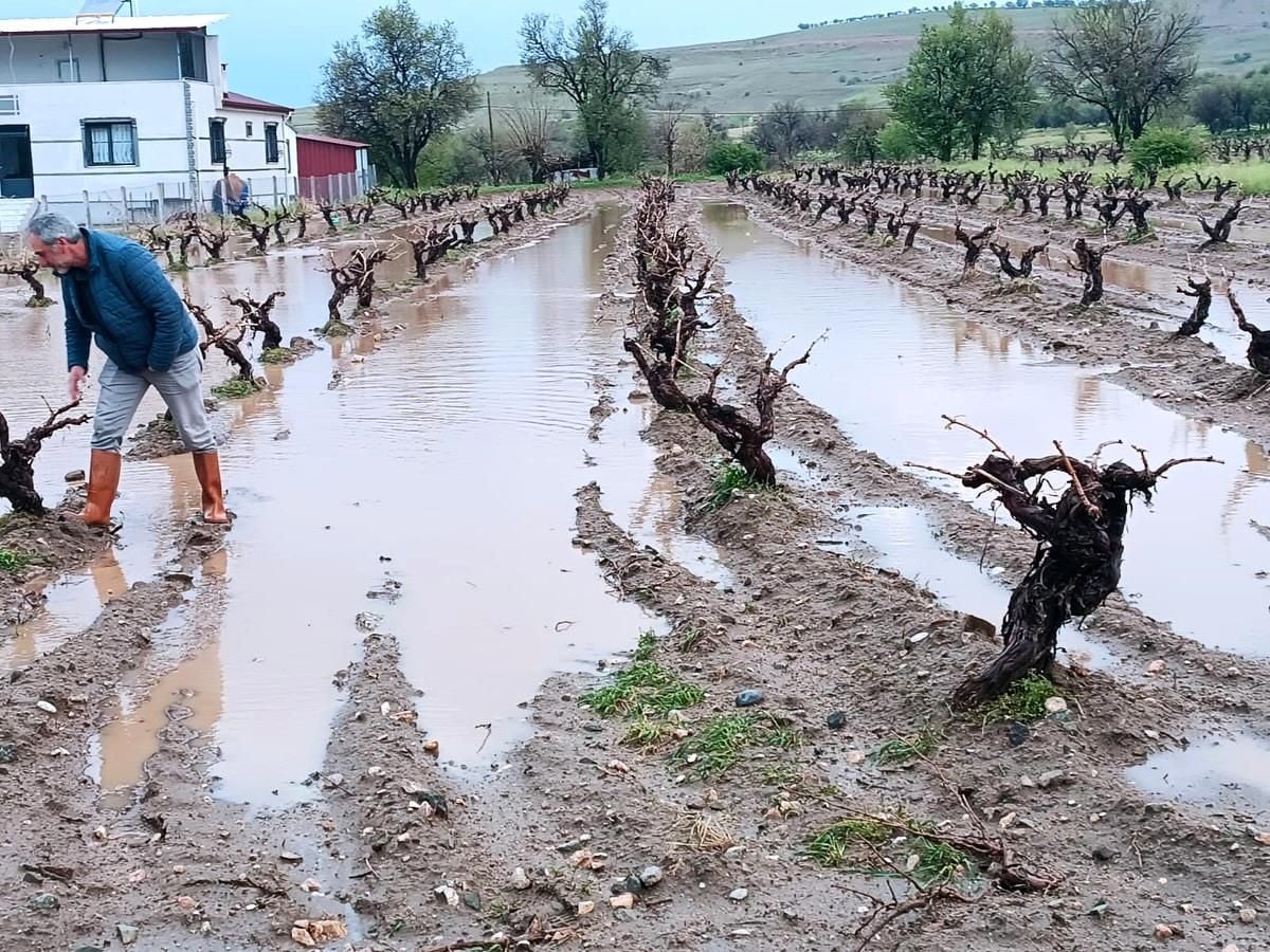 Elazığ'da dolu yağışı sonrası hasar tespit çalışması