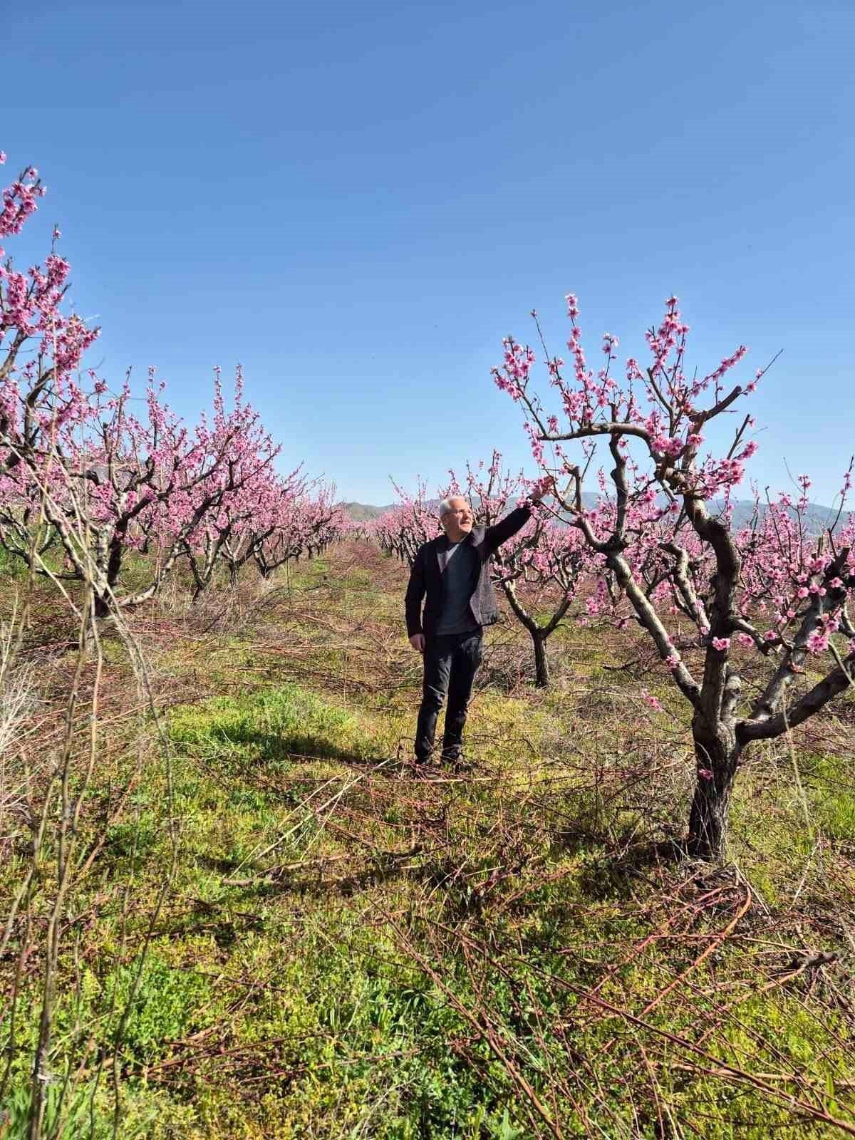 Elazığ'da meyve bahçelerinde entegre mücadele çalışması